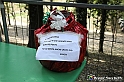 VBS_7754 - Fonte Baritela - Inaugurazione nuovo tavolo